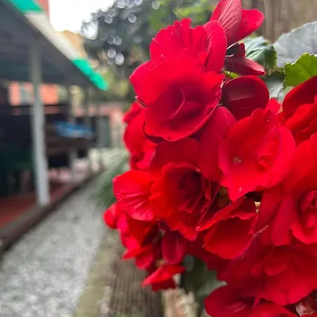 Pensión Curpi De Ma 4*