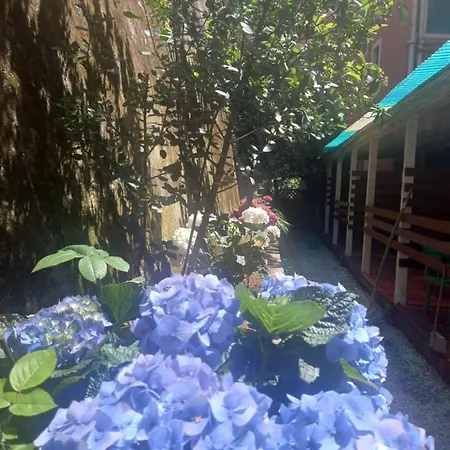 Curpi De Ma Guest house *